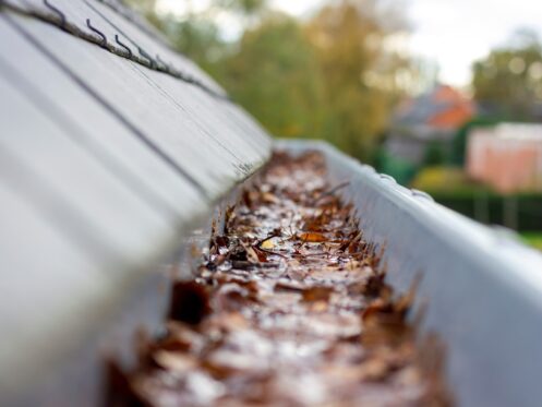 Roof Maintenance in Charlotte, NC